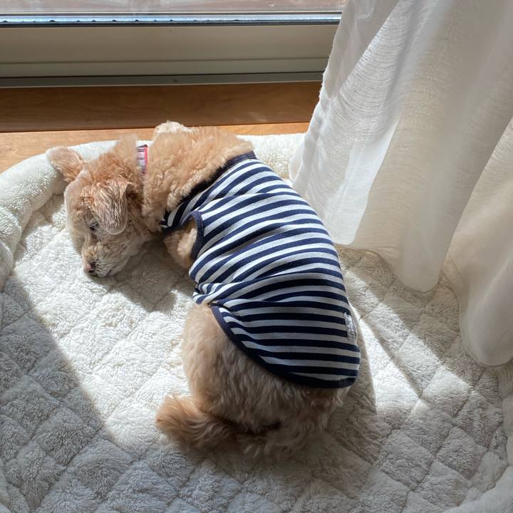 C91a82c0 2f40 469f 96c3 ee38779fb0f2 1635040643520