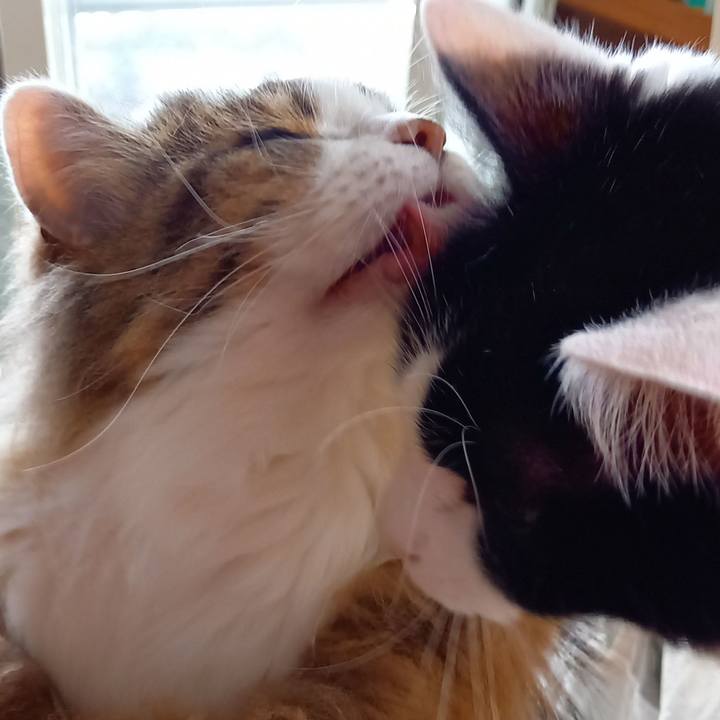 C91a9ea4 d267 4ef5 b470 daa8989ddfda 1625286893422