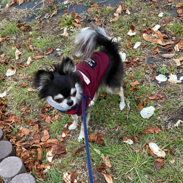 C91ac340 84cb 4a40 8eb9 9713b341aa40 1711277500709