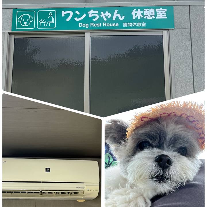 C91af14a 7964 4e3b abd5 1f43bd6b8a4a 1757320004193