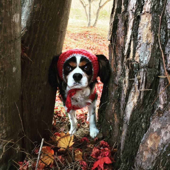 C91b0287 bb67 463e 9a0a a2a608b6102f 1569893020821