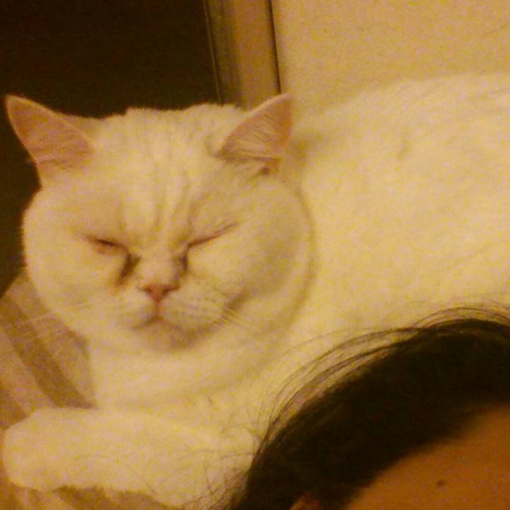 C91b0f9a 0fba 49ff 875e b489ca7e29a2 1509264037045