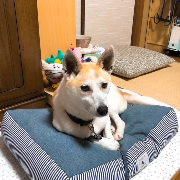 C91b1dc3 fbb7 4b3b b34e c1017fe27df7 1589409995513