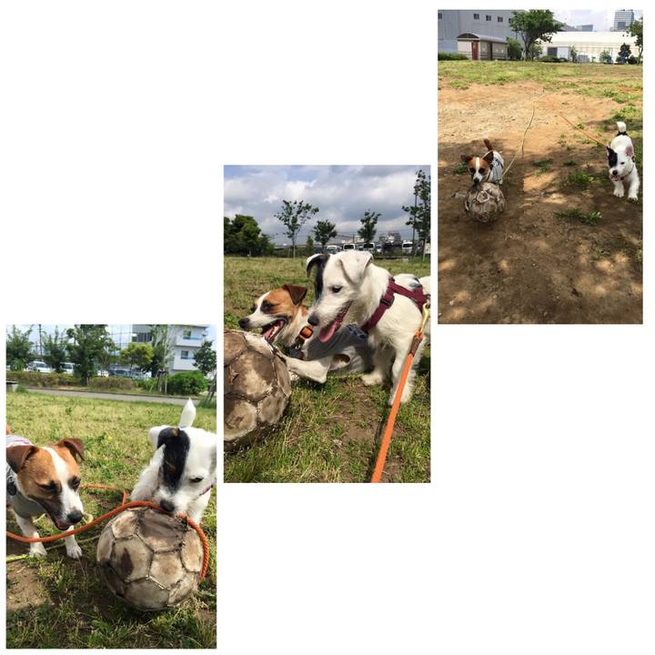 C91b2dcc 3de0 45d7 86e9 103af16fd655 1589803935286