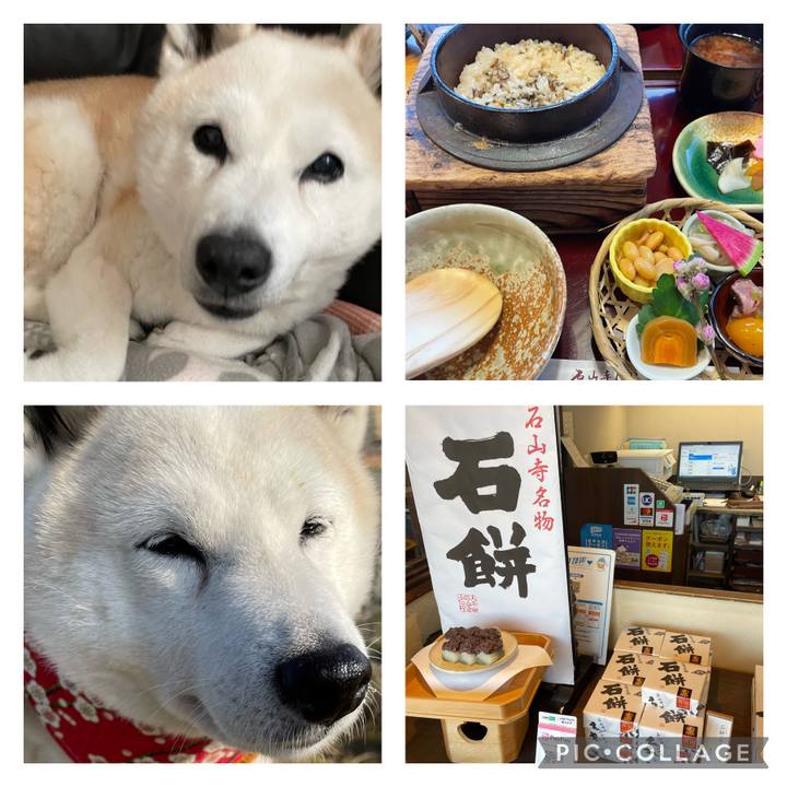 C91b4752 1776 4034 b7b8 1d5bbc3fc306 1645878998549