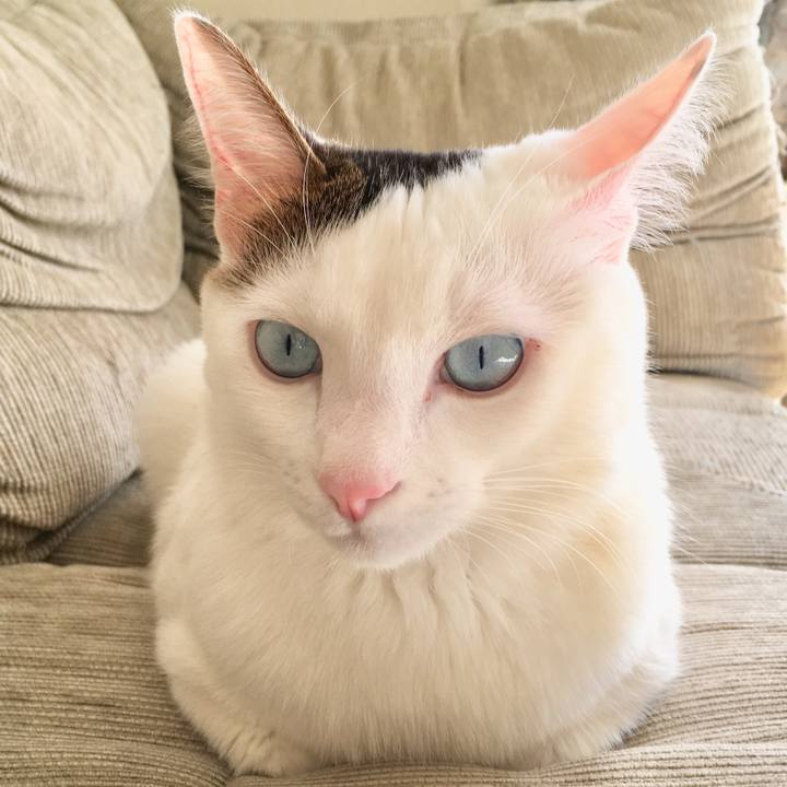 C91b4806 8aa3 4223 9f3b 7cdbbb66f2ec 1550621219499