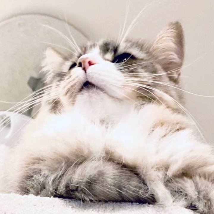 C91b4e9f 92b7 454d 991a f5c5961dceb3 1644340713647