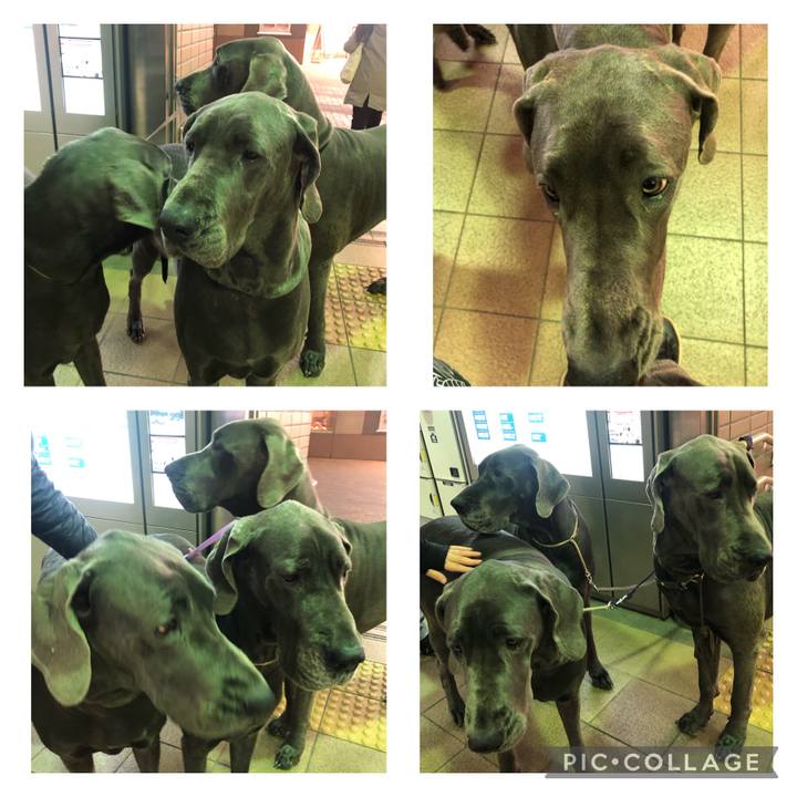 C91b63ab 38d1 4f7b a0fa 70c64764332b 1671564691170