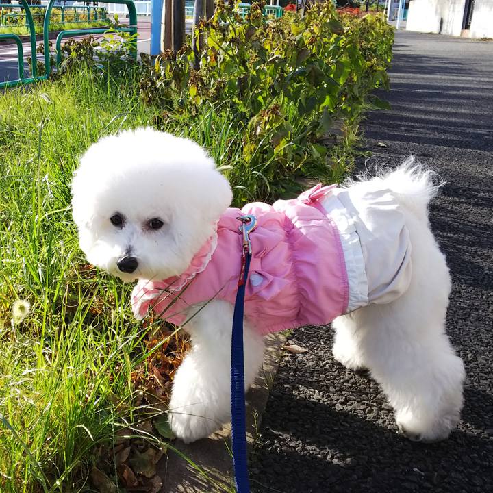 C91bc1d5 bc86 4740 8d93 2f9137d67068 1513325529735