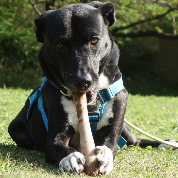 C91bd98a 5f18 48e8 9f93 743a012fa68b 1618192863088