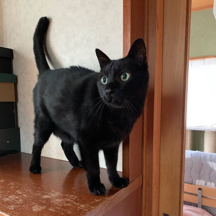 C91bfcd3 9c5e 453e 8db3 faaa0110129d 1573434324499