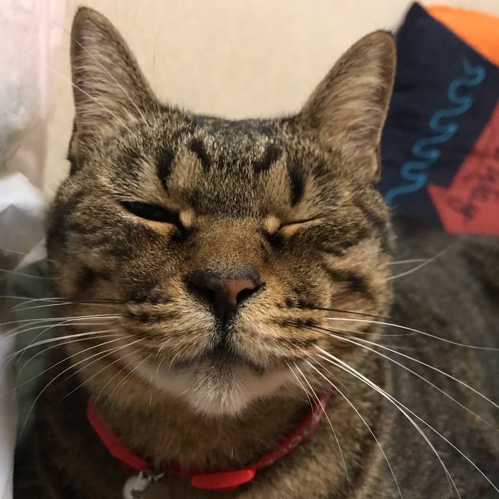 C91bfe1f dae3 4975 b784 fdb95c36a640 1637326635115