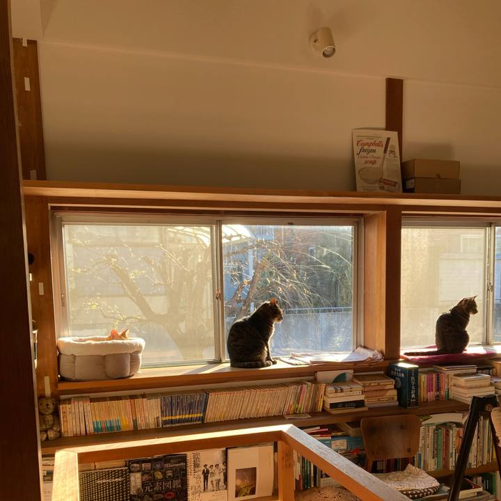 C91bfec6 31c4 4841 9d9d 08fb5fd31bbd 1770033745161