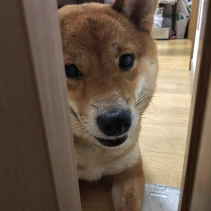 C91c5765 3e18 4775 b33e 1d925bb1cbf6 1520756029041