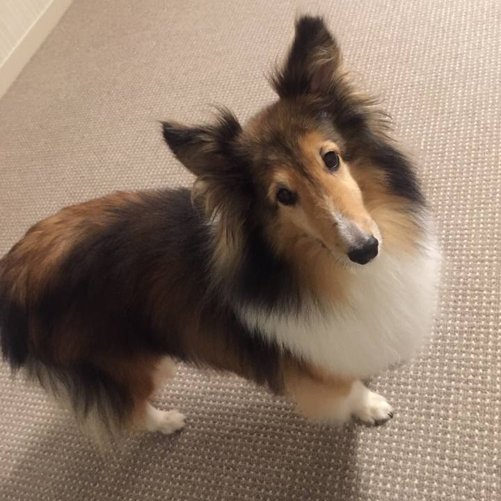 C91c6426 f922 4f9f 90e6 2097af62ee2a 1609419820857