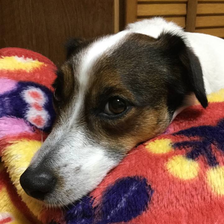 C91c7c41 faba 4271 8218 ab94d68109aa 1524615596535