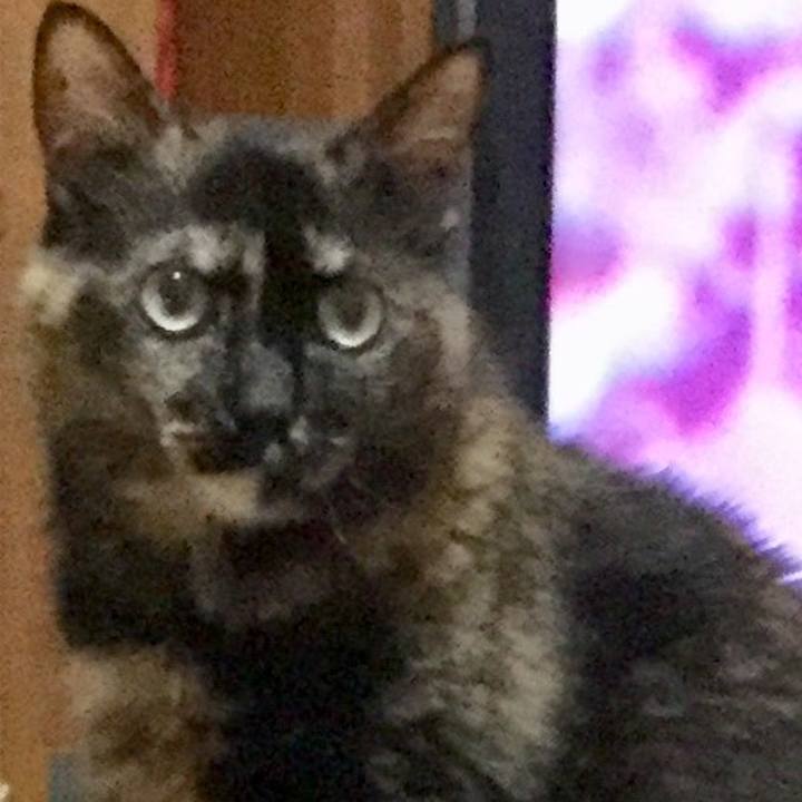 C91c81e5 f0ad 4e44 8a6c 930da3e10f99 1593175745639