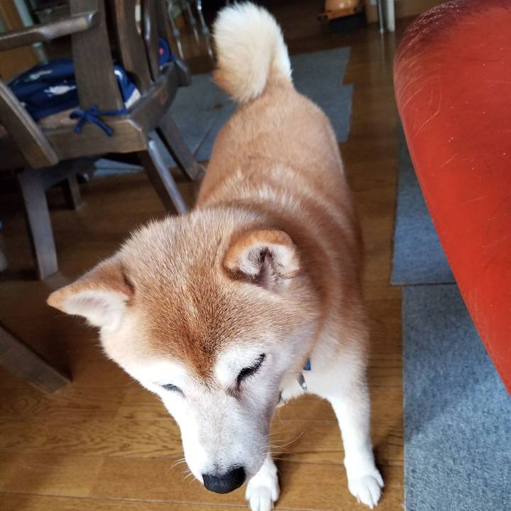 C91cd1a3 16d4 4795 a499 dfbb137bbcb1 1627884460369