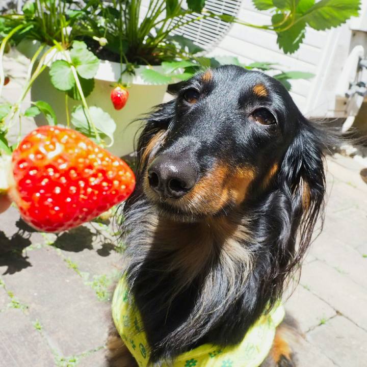 C91cf980 2b19 44a6 87dc 103f1094b438 1526264619903