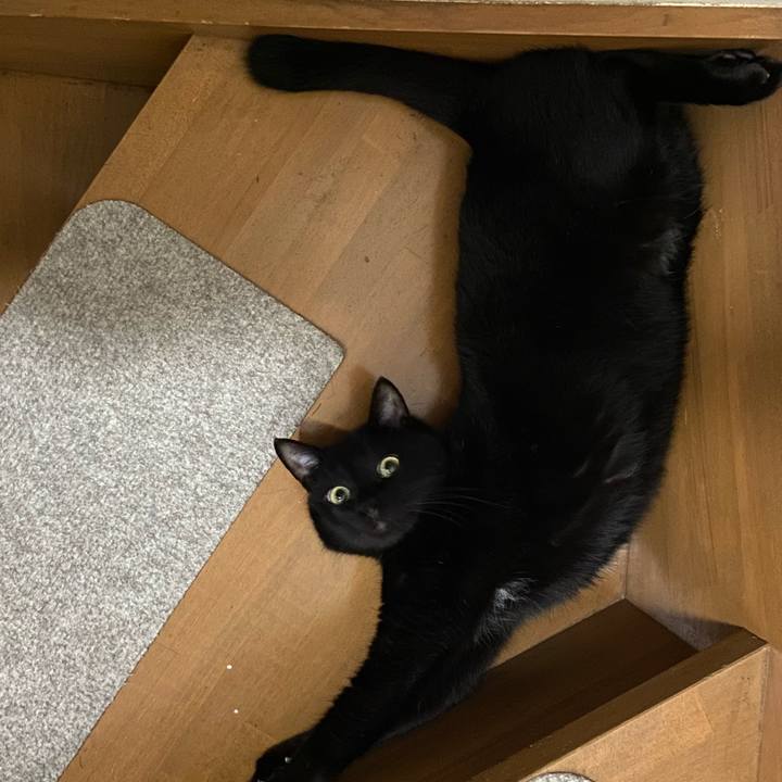 C91cfda2 4d0d 4460 ad1e 6df094047798 1655293653058