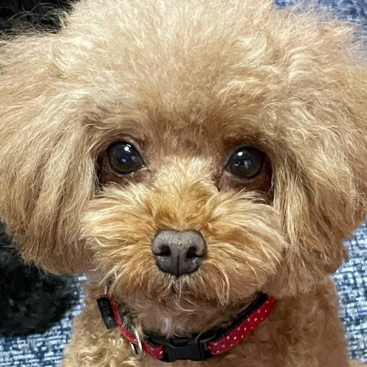 C91d148d 3ef7 4556 94fd 2ac74669644d 1630732590093