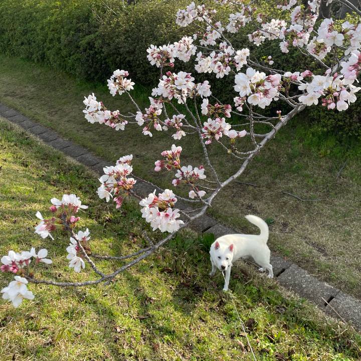 C91d36c0 1484 45f1 bd85 5cca19e36cf8 1711926417140