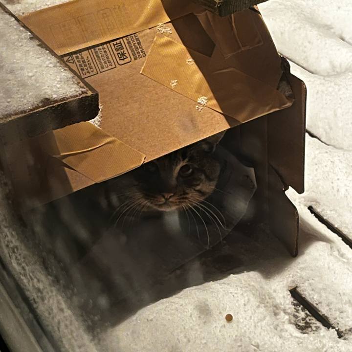 C91d5fd2 5097 4df6 89ca 342a70fe1aba 1733739131128