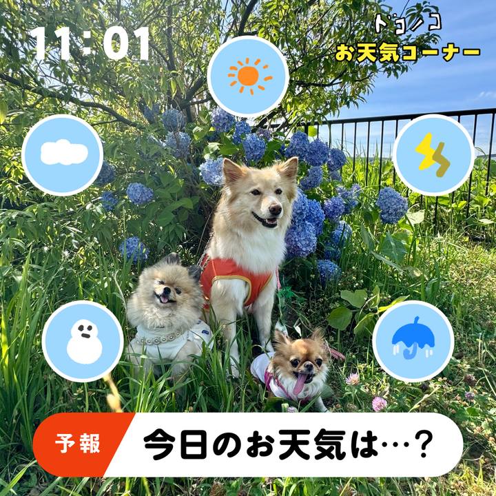 C91d75fd 37b3 4442 a710 4bc5ad85afbc 1781658250445