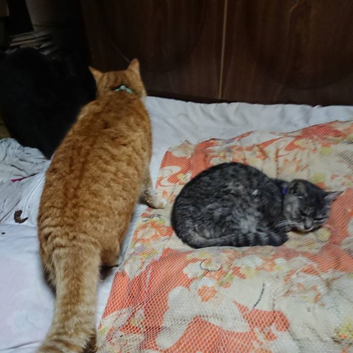 C91d8a71 8983 4f96 a60a 68e26053cdb8 1581598200759