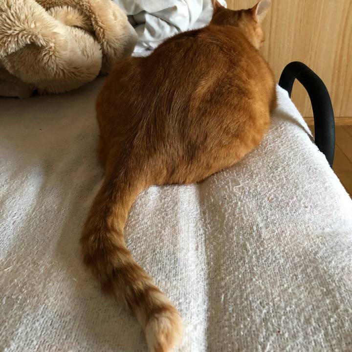 C91d9938 3ee1 4421 9721 addc22e15894 1603834404919