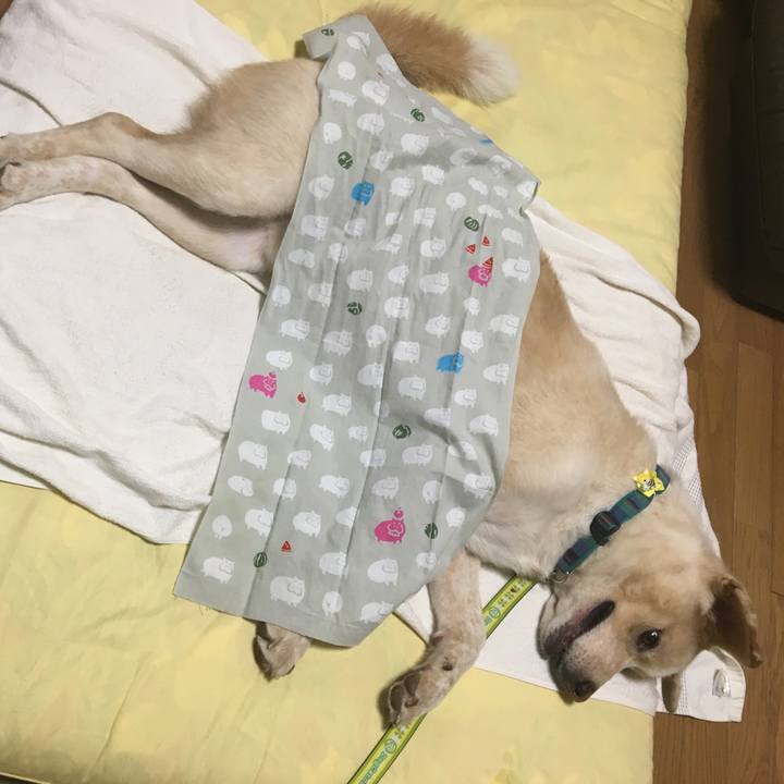 C91d9ad4 fd81 43ea 8567 2e7763b9373a 1530616928776