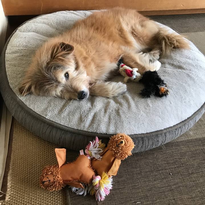 C91ddb95 a01a 4c2d aaf4 d9cdc99d6994 1610605553313