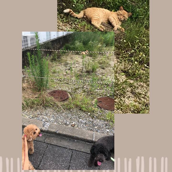 C91dfc25 72e8 4e38 803b d2438f5aa0e7 1595570209138