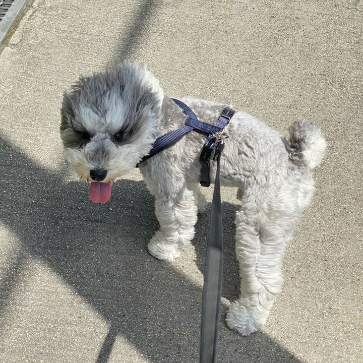 C91e05c2 3898 4aae ab7d a2521de4a939 1619917645993