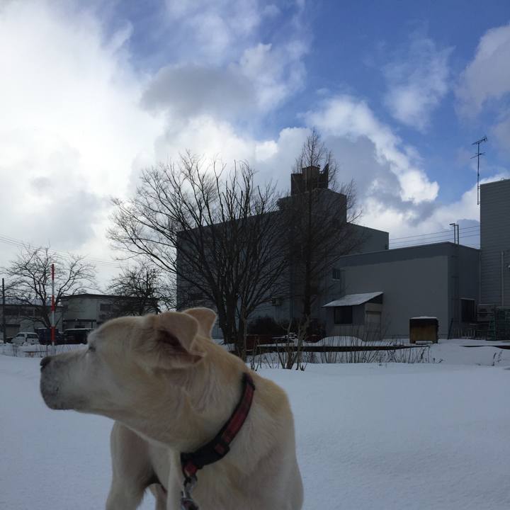 C91e397b 7f4e 41c3 9049 ab332dc882f7 1550402242828