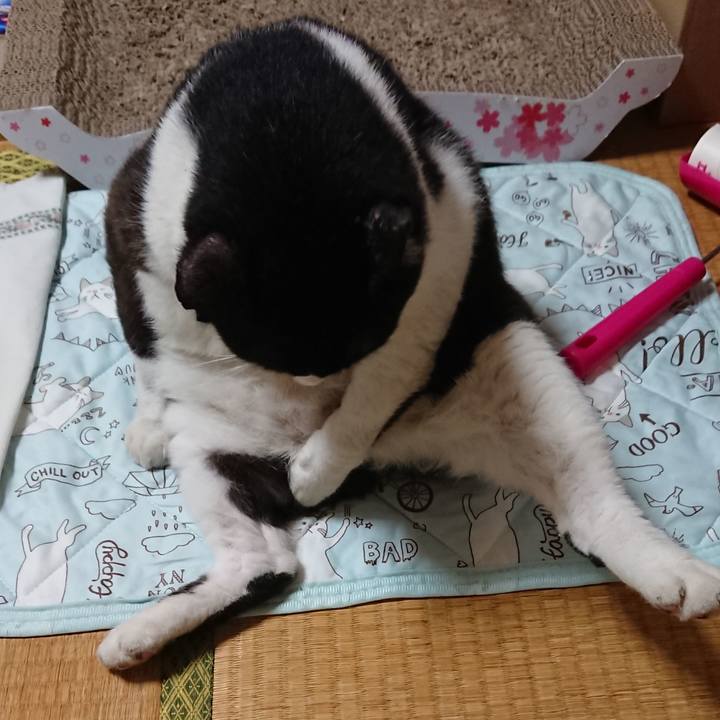 C91e4dab e791 4453 8ebe 0829aad1cacd 1567987079098