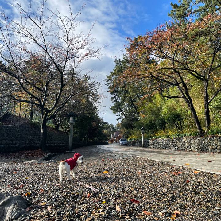 C91e69d2 52d4 4d1d a091 a32f24aa3ceb 1636766571072