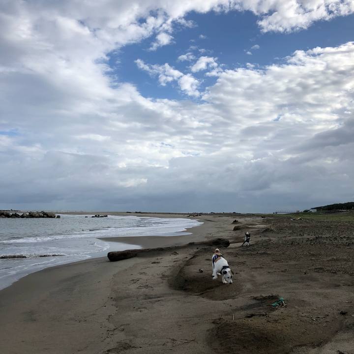 C91ec070 320d 4909 8b17 66c49e4c9283 1536103192062