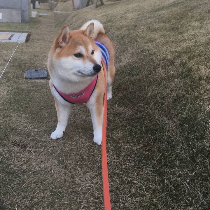 C91efafe 7f39 4ea3 a921 6d2fda9fceca 1545204642160