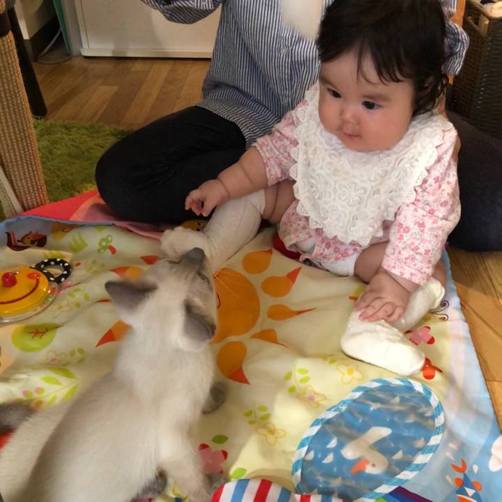 C91f1a25 ef54 4cda bc8d 20f2afc3a11a 1571474112278