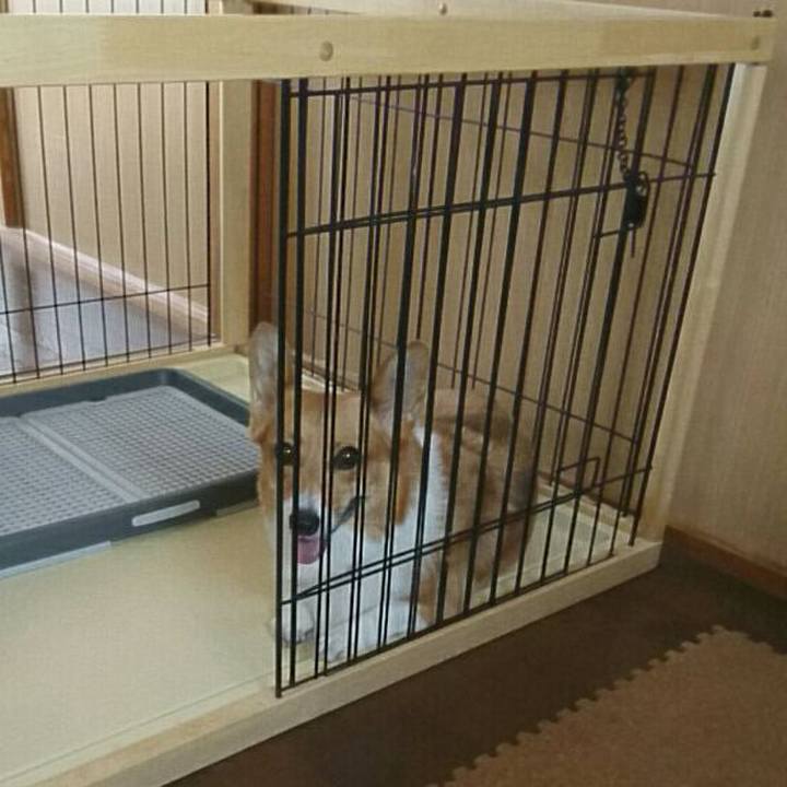 C91f4344 19e4 4967 9450 18eb45082fd7 1530683721432