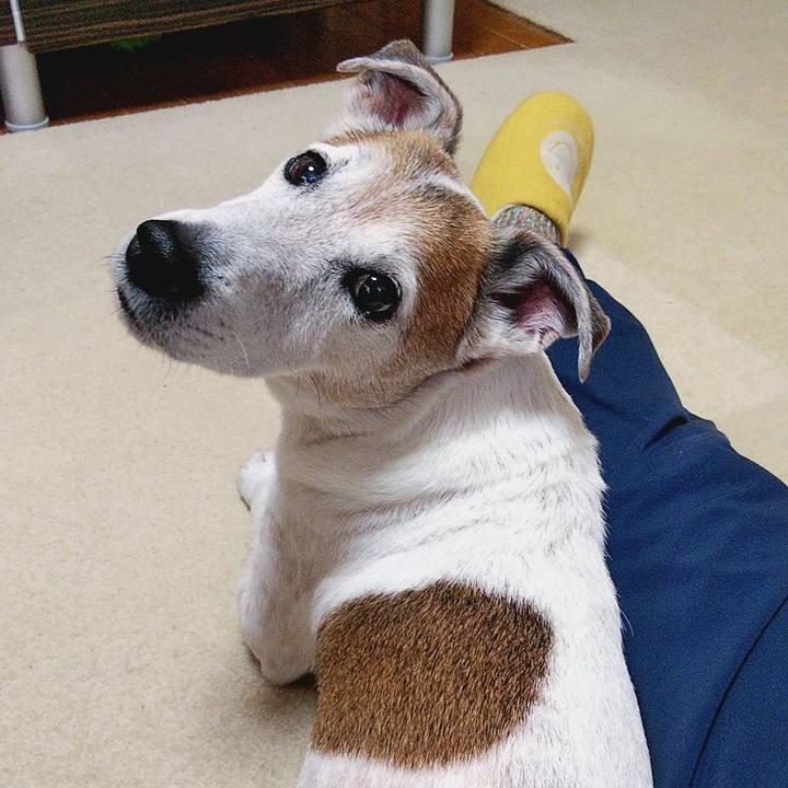 C91f78d5 0d32 42f6 92e4 61a8bb0d030c 1584252609136