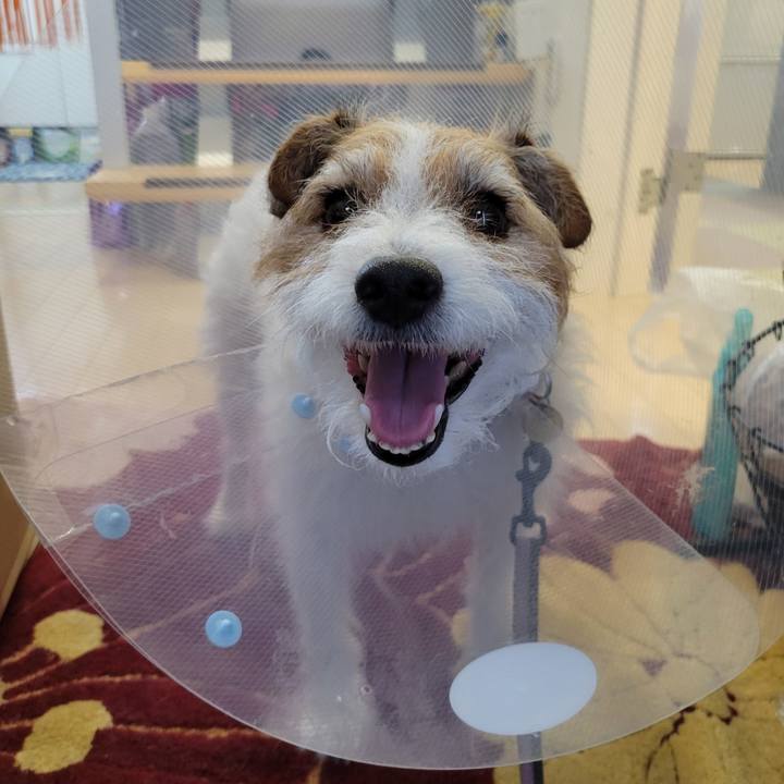 C91fc091 b684 4274 a736 ffa027cde102 1718283604989