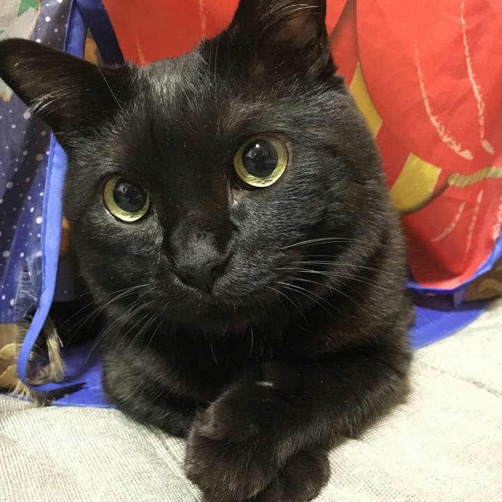 C91fd855 cad2 4abf ae91 dfcd87d07e8e 1508671550604