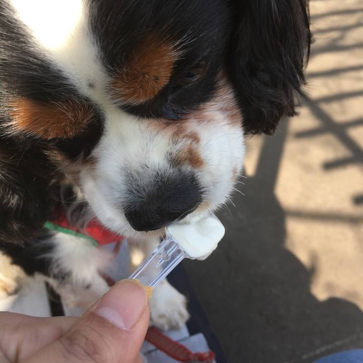 C91fda6b 1e83 4f90 9da9 387341ad8129 1522648541804