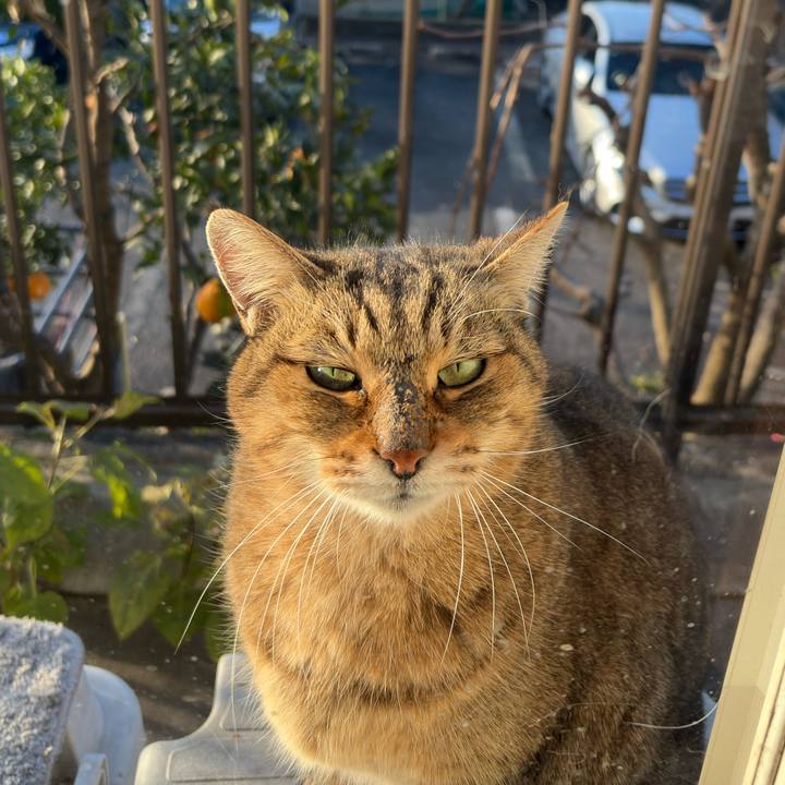 C91fdb1e c179 42c4 9480 7f114f1057bd 1766972362624