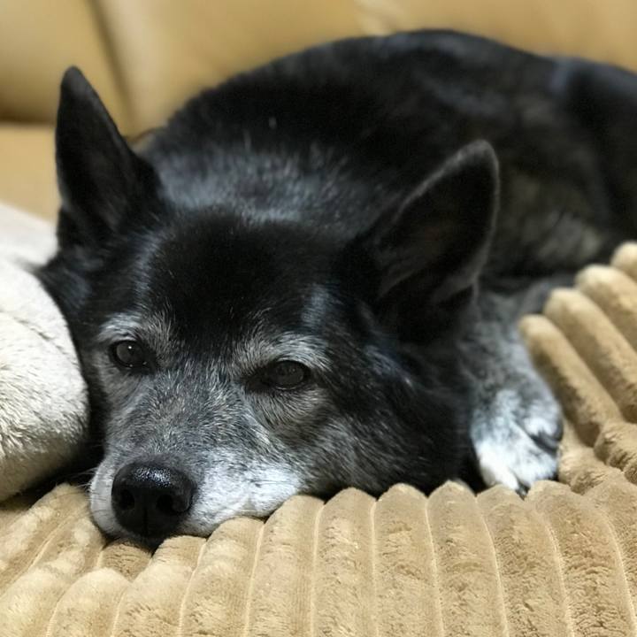 C91fdd9b e2e5 40a9 9a0e 8153193b3d26 1643679130026