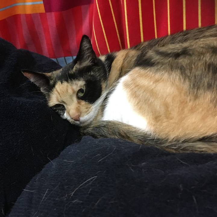 C92001d1 5284 4842 a86d 2bddfcb5081e 1508159953549