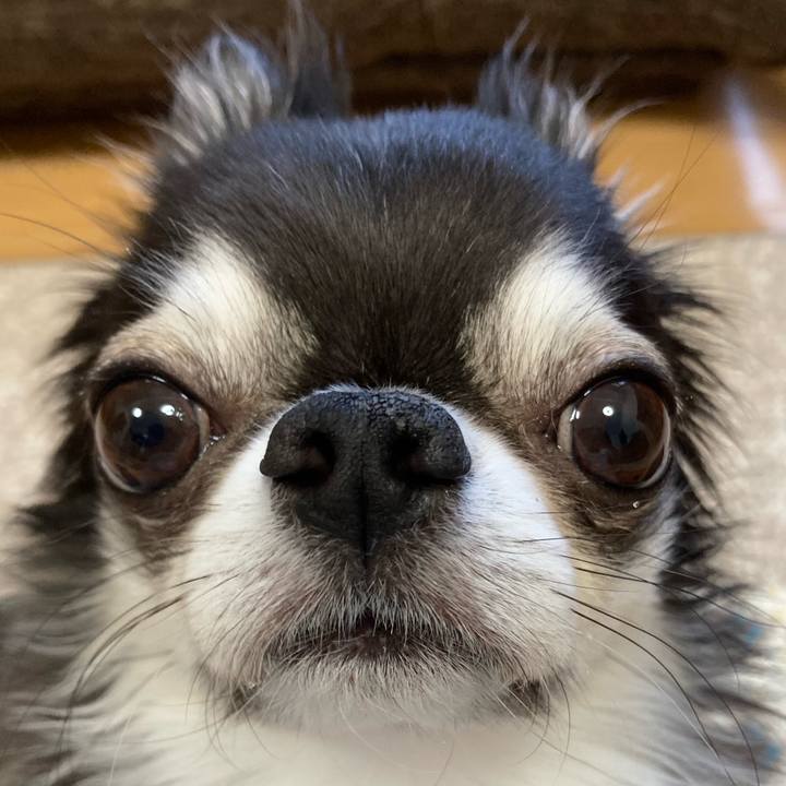 C92064f6 9b39 42a3 9f00 6f6a93a9f6cc 1702076453847