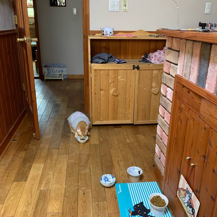 C9206931 0540 4600 8cba 5a959e8d128e 1599689267590